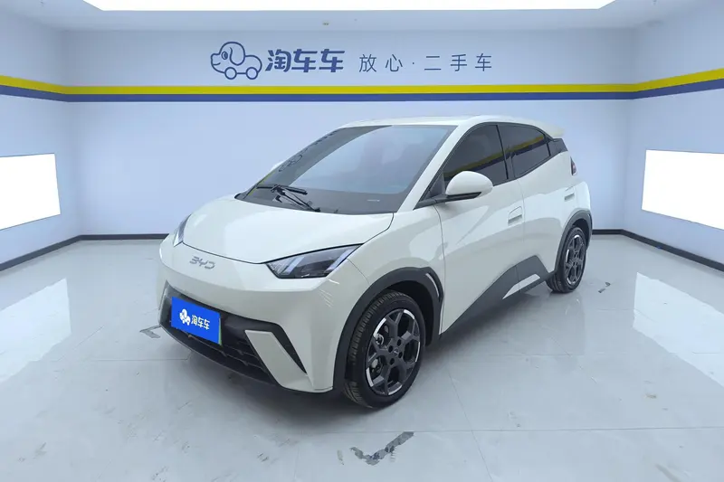BYD Seagull, 2025