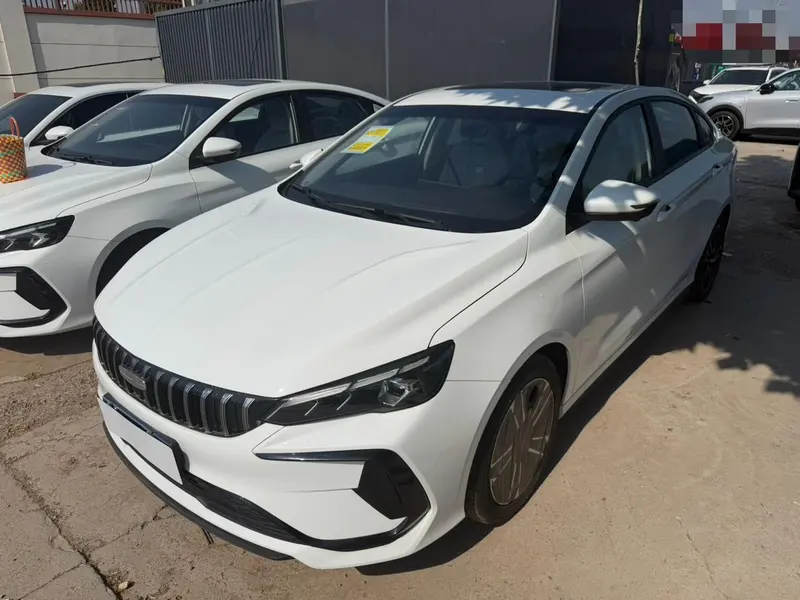 Geely Binrui, 2024
