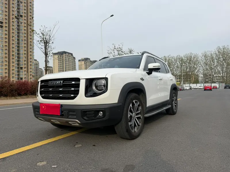 Haval Big Dog, 2021