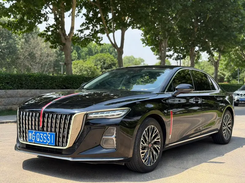 Hongqi H5, 2024