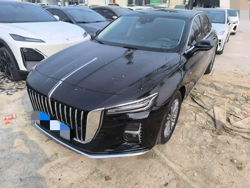 Hongqi H5, 2024