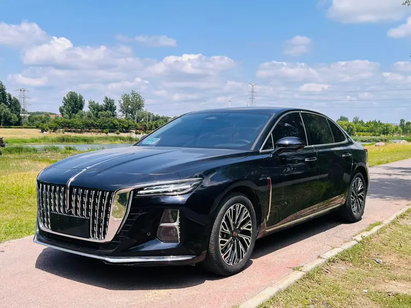 Hongqi H5, 2024