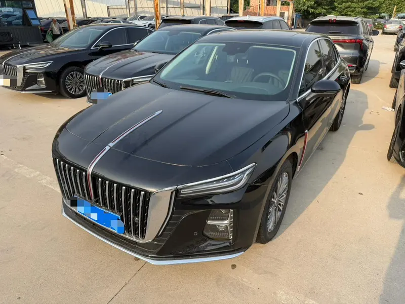 Hongqi H5, 2025