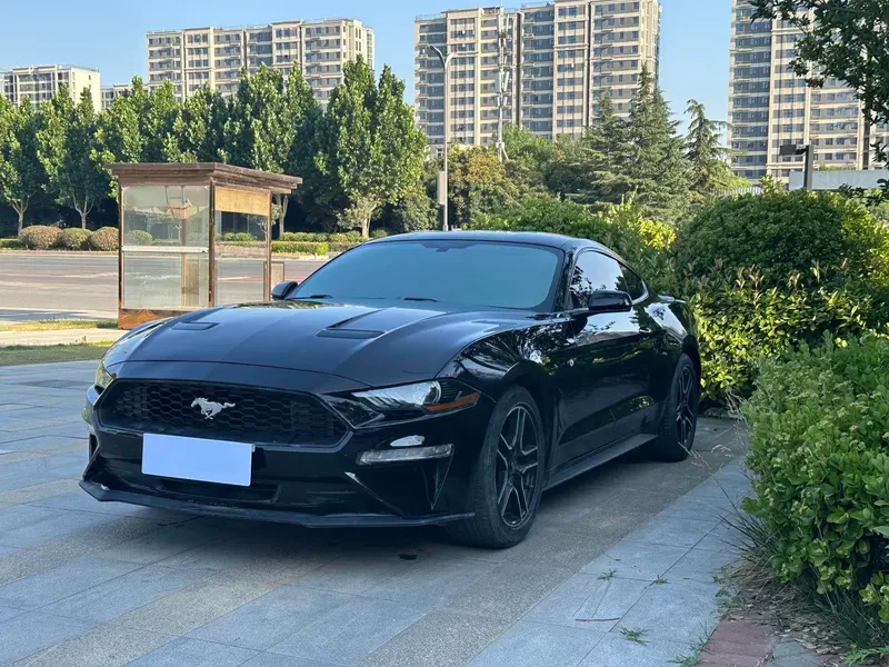 Ford Mustang, 2019