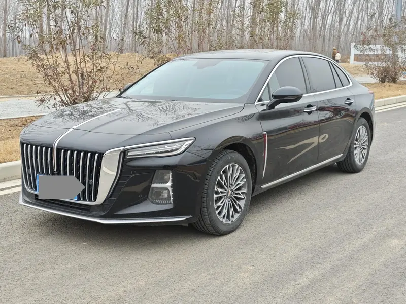 Hongqi H5, 2024