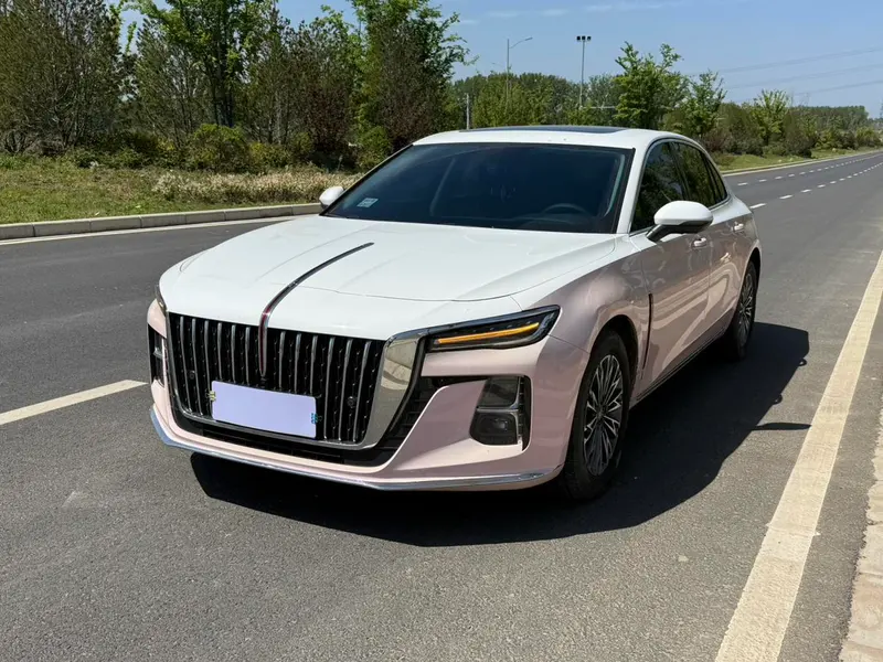 Hongqi H5, 2025