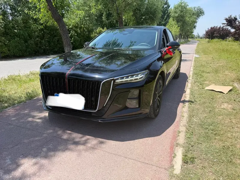 Hongqi H5, 2025