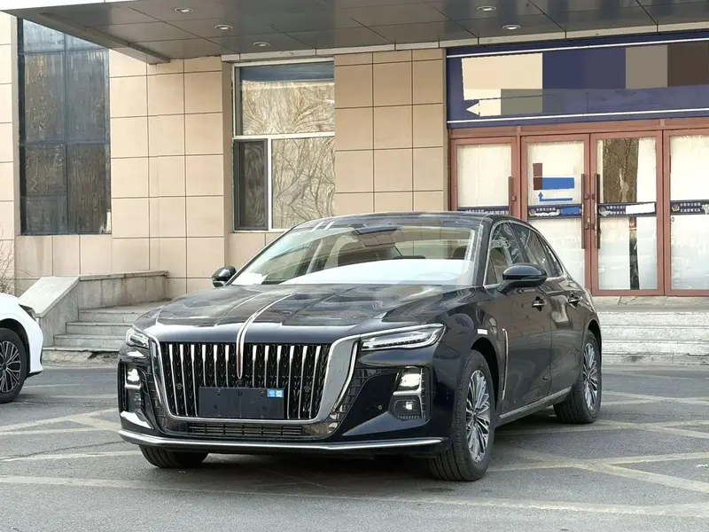 Hongqi H5, 2025