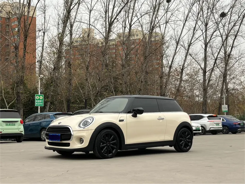 MINI MINI, 2019
