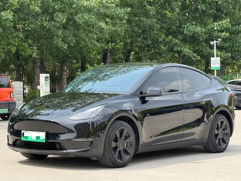 Tesla Model Y, 2021