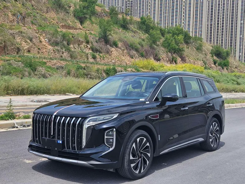 Hongqi HS7 PHEV, 2024