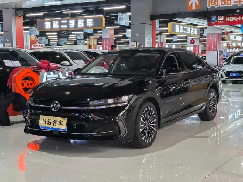 Volkswagen Magotan, 2024