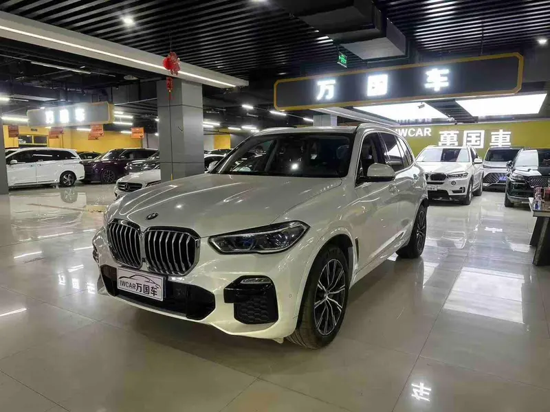 BMW X5 (Import), 2019