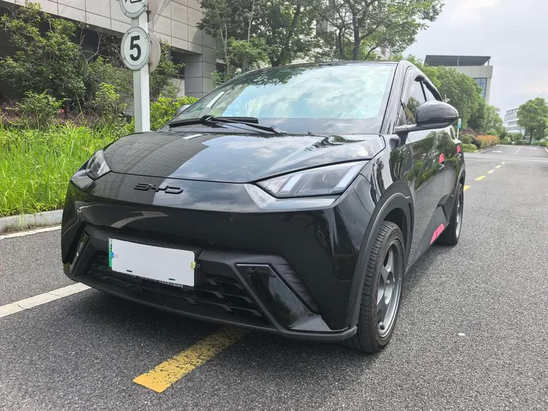 BYD Seagull, 2023