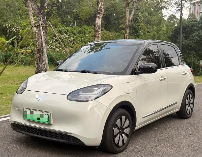 Wuling Bingo, 2023