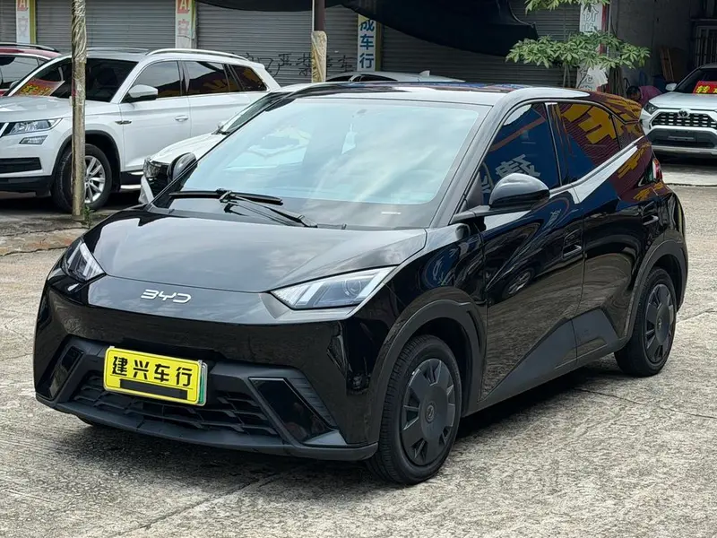 BYD Seagull, 2024