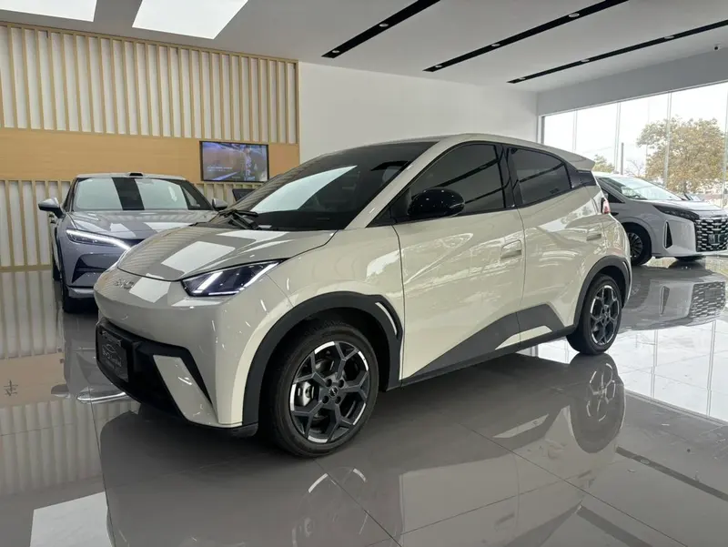 BYD Seagull, 2025