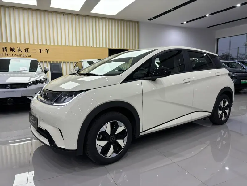 BYD Dolphin, 2025