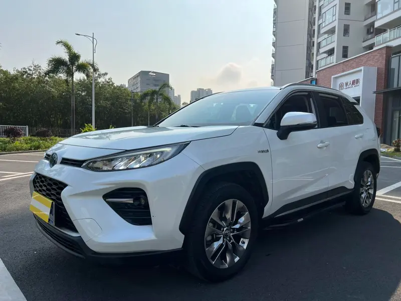 Toyota Wildlander, 2020