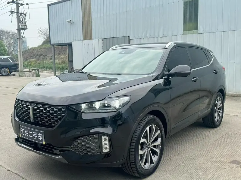 Wey VV6, 2020