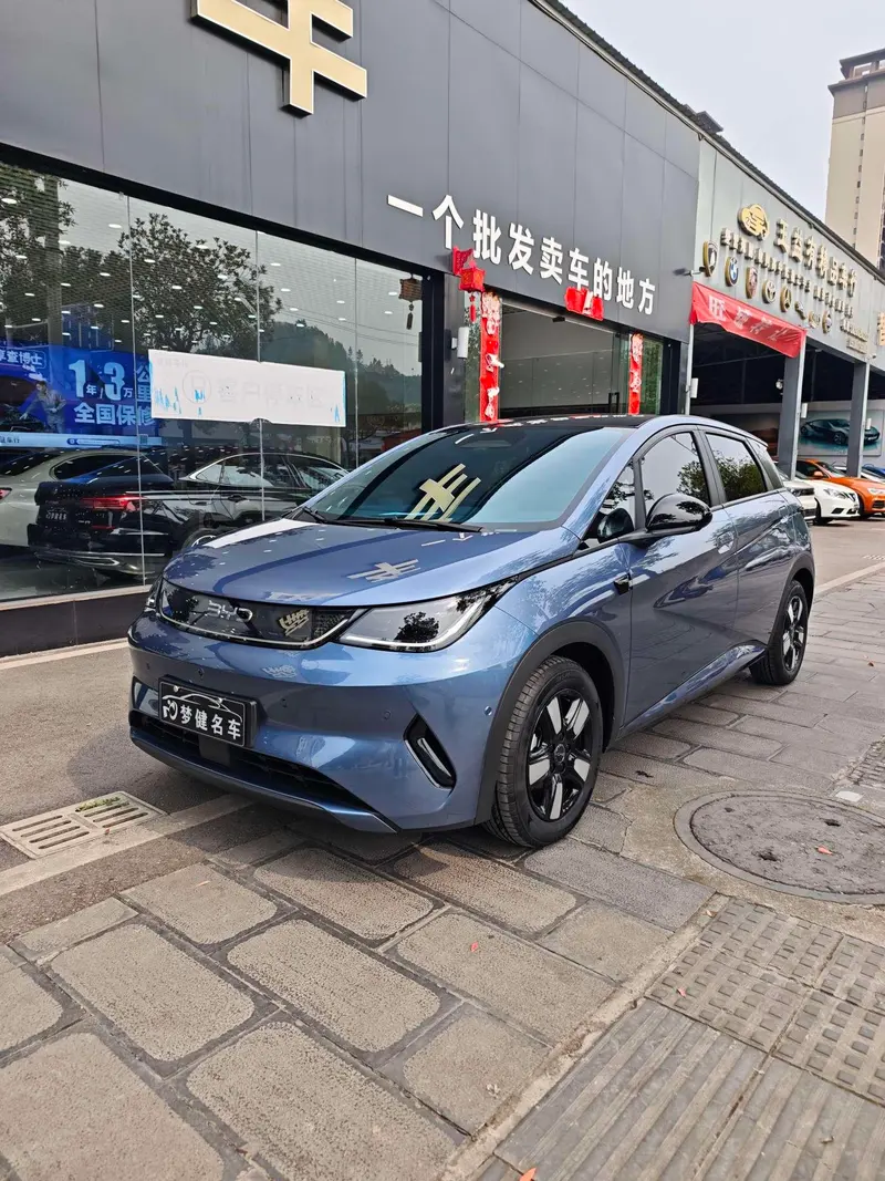 BYD Dolphin, 2025