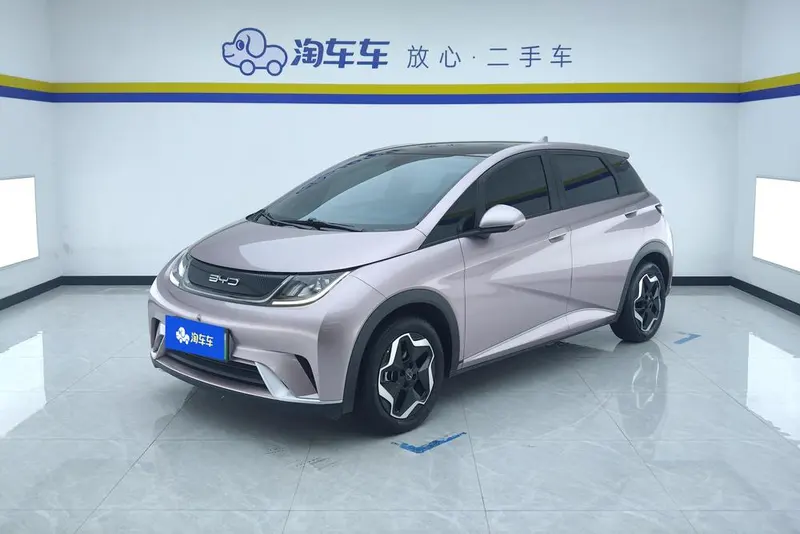 BYD Dolphin, 2021