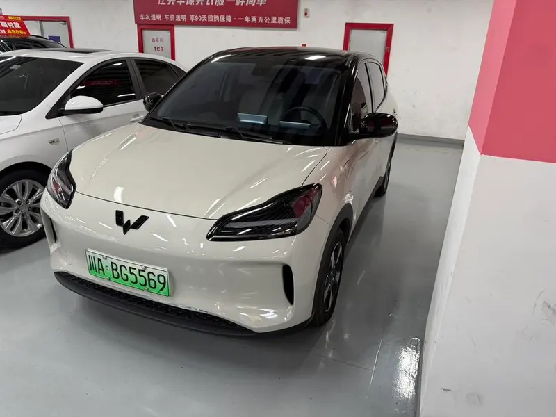Wuling Bingo PLUS, 2024