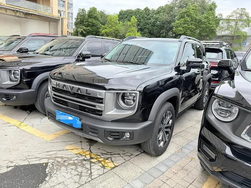 Haval Big Dog, 2024