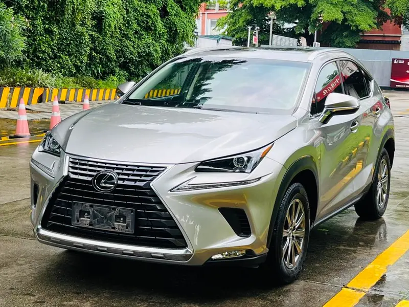Lexus NX, 2018