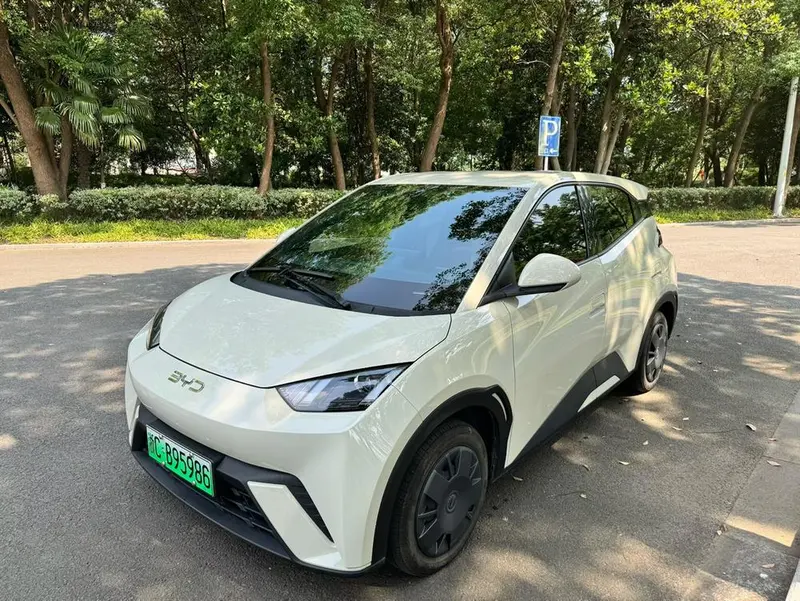 BYD Seagull, 2024