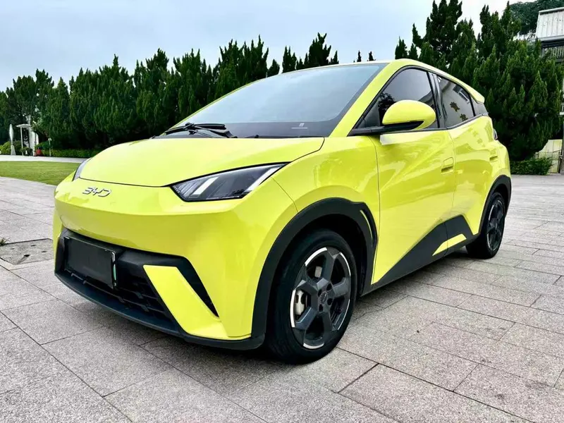 BYD Seagull, 2024