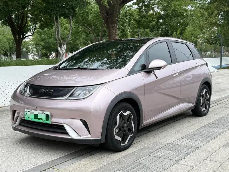 BYD Dolphin, 2021