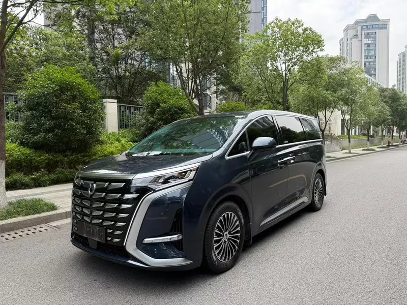 Denza D9 DM, 2022