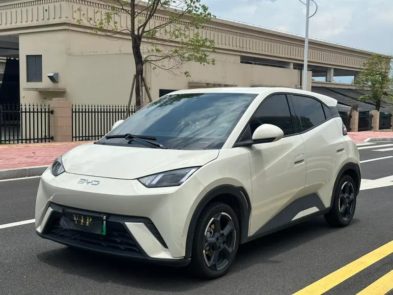 BYD Seagull, 2024