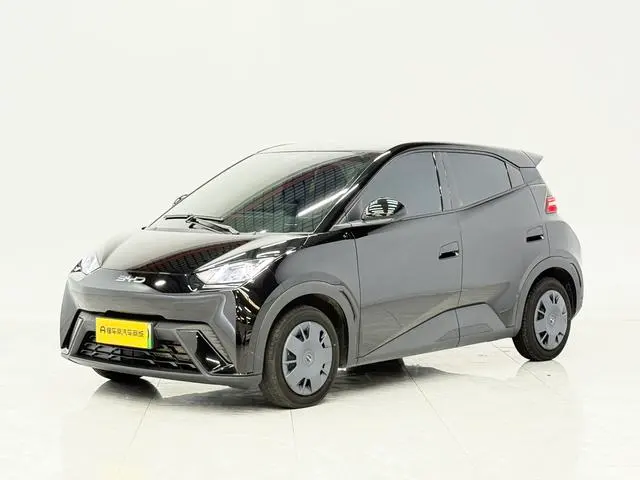 BYD Seagull, 2025