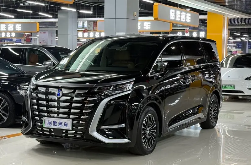 Denza D9 DM, 2024