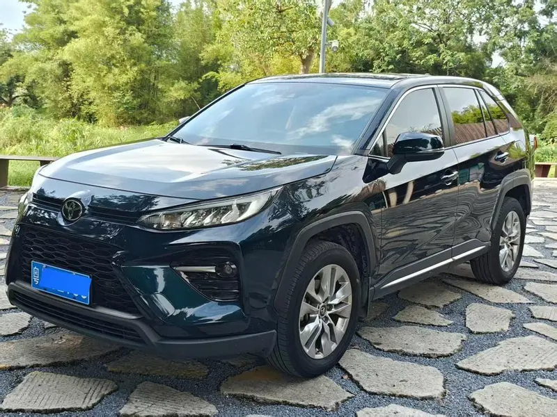 Toyota Wildlander, 2020