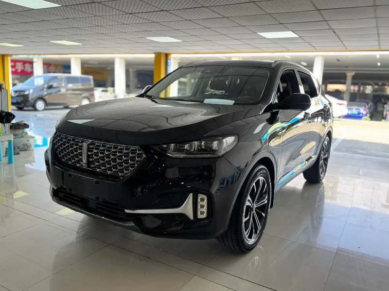Wey VV6, 2021