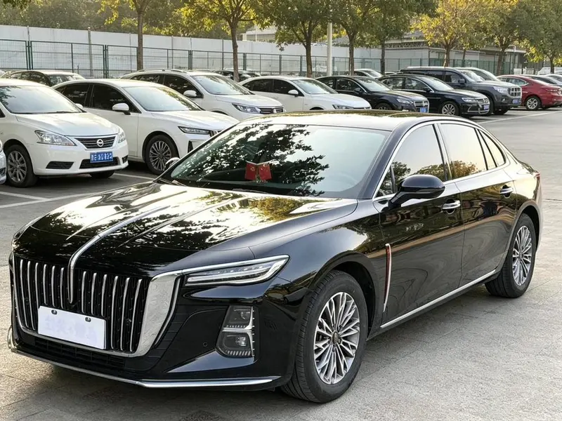 Hongqi H5, 2024