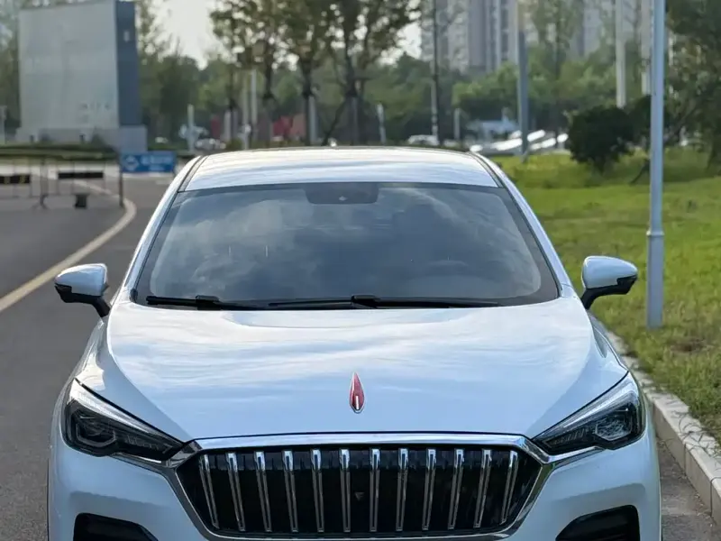 Hongqi E-HS3, 2021