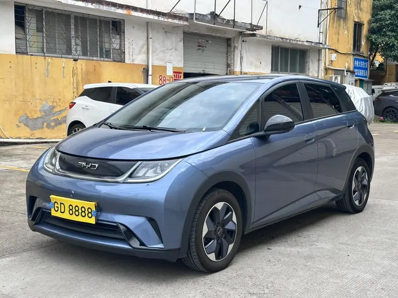 BYD Dolphin, 2024
