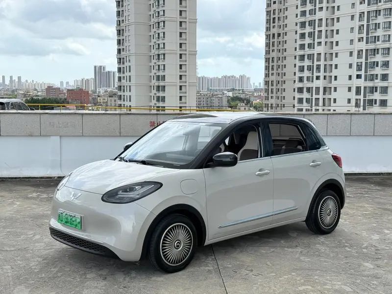 Wuling Bingo, 2023