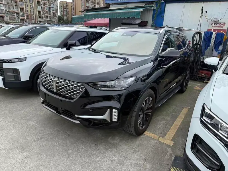 Wey VV6, 2021