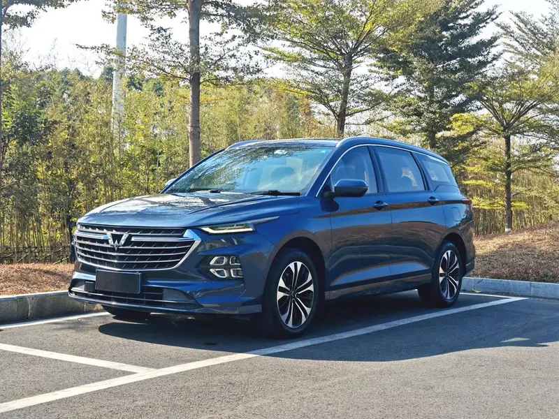 Wuling Capgemini Victory, 2020