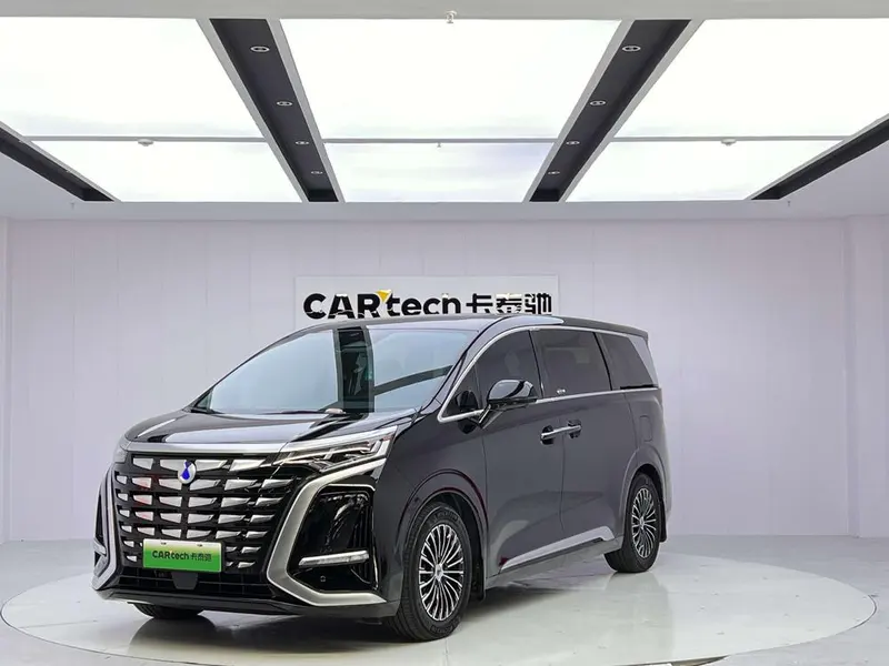Denza D9 DM, 2024