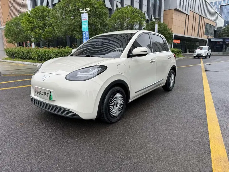 Wuling Bingo, 2023