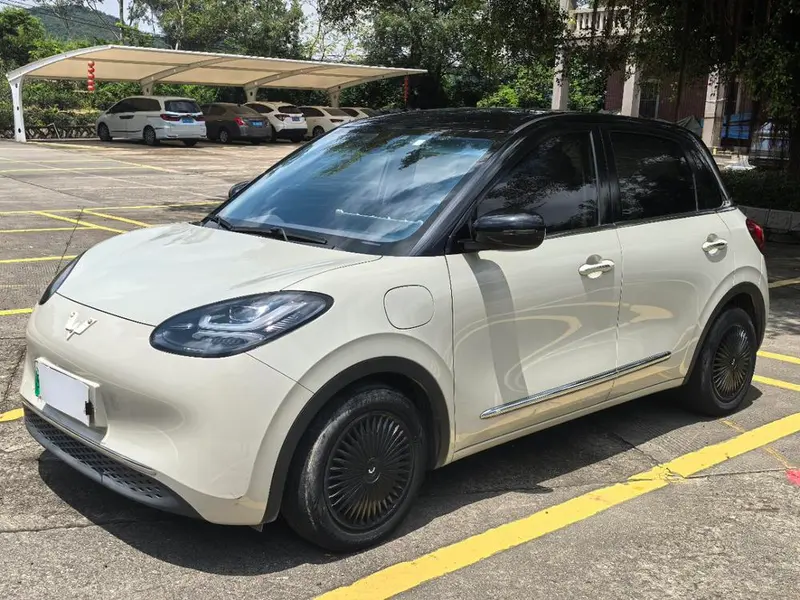 Wuling Bingo, 2023