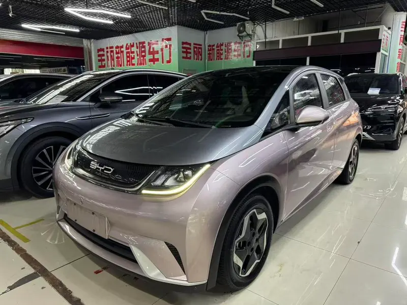 BYD Dolphin, 2021