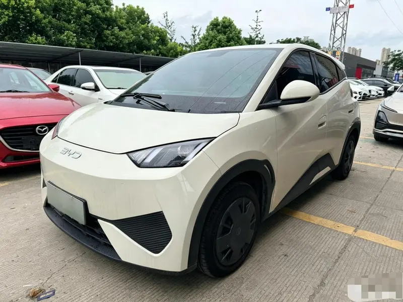 BYD Seagull, 2025