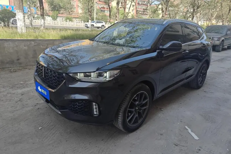 Wey VV6, 2018